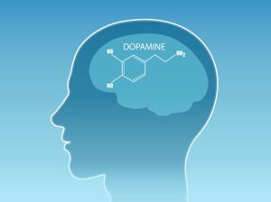 Vector of a chemical formula of the hormone dopamine inside human head